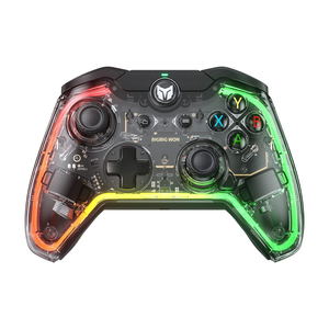 Rainbow Lite RGB Wired Controller for Nintendo Switch / PC_