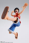 S.H.Figuarts One Piece: Monkey D. Luffy Romance Dawn thumbnail 6