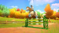 Horse Club Adventures 1+2 Lakeside Collection thumbnail 5