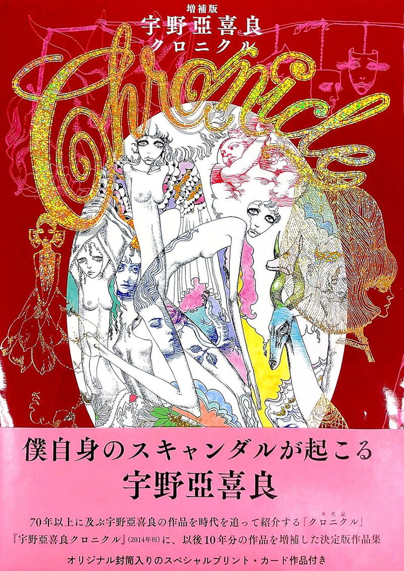 Expanded Edition Akira Uno Chronicle image 1