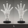 Artist Support Item Hand Model Glove/L -Wireframe- thumbnail 2