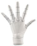 Artist Support Item Hand Model Glove/L -Wireframe- thumbnail 1