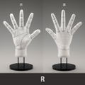 Artist Support Item Hand Model Glove/R -Wireframe- thumbnail 2