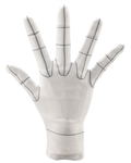 Artist Support Item Hand Model Glove/R -Wireframe- thumbnail 1