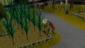 Old School RuneScape: 1-Month Membership (DLC) <span class="ext" style="background-color: #B0000F; color: #FFFFFF;">DLC</span> <span class="ext" style="background-color: #2a475e; color: #FFFFFF;">STEAM</span> <span class="ext ext_digital">digital</span> thumbnail 6