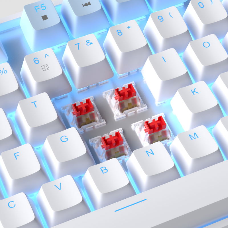 MageGee MK-STAR Wired Mechanical Keyboard [Red Switch] (Blue/White) image 5