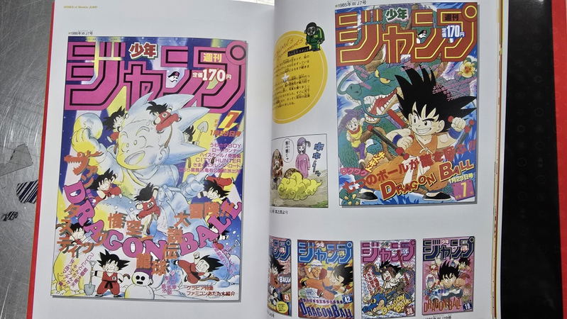 30th Anniversary Dragon Ball Cho Shishu - Super History Book - image 3