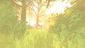 The Wreck thumbnail 5