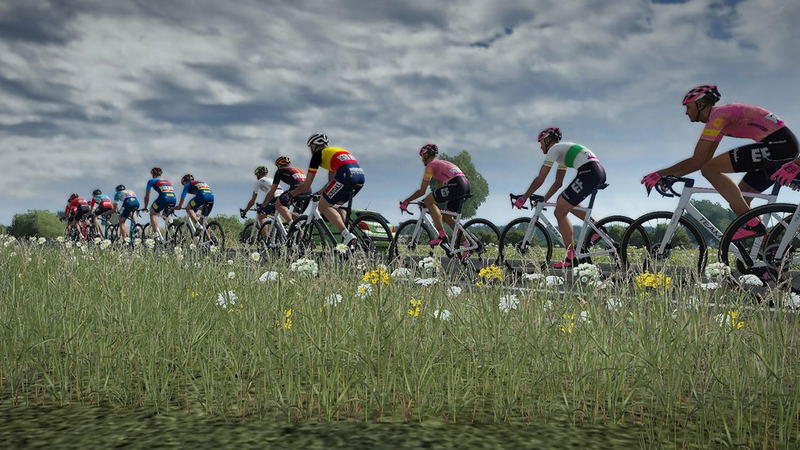 Tour de France 2024 image 4