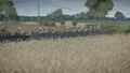 Tour de France 2024 thumbnail 7