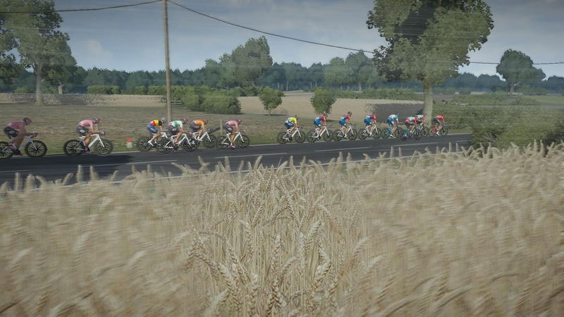 Tour de France 2024 image 7