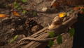 Empire of the Ants thumbnail 6