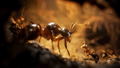Empire of the Ants [Limited Edition] thumbnail 2