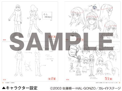 Kaleido Star's Amazing Collection Materials image 5