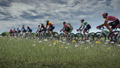Tour de France 2024 thumbnail 4