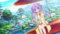 Sengoku Koihime X Otome Kenran Sengoku Emaki - Hōjō Clan Rumble Edition [Limited Edition] thumbnail 2