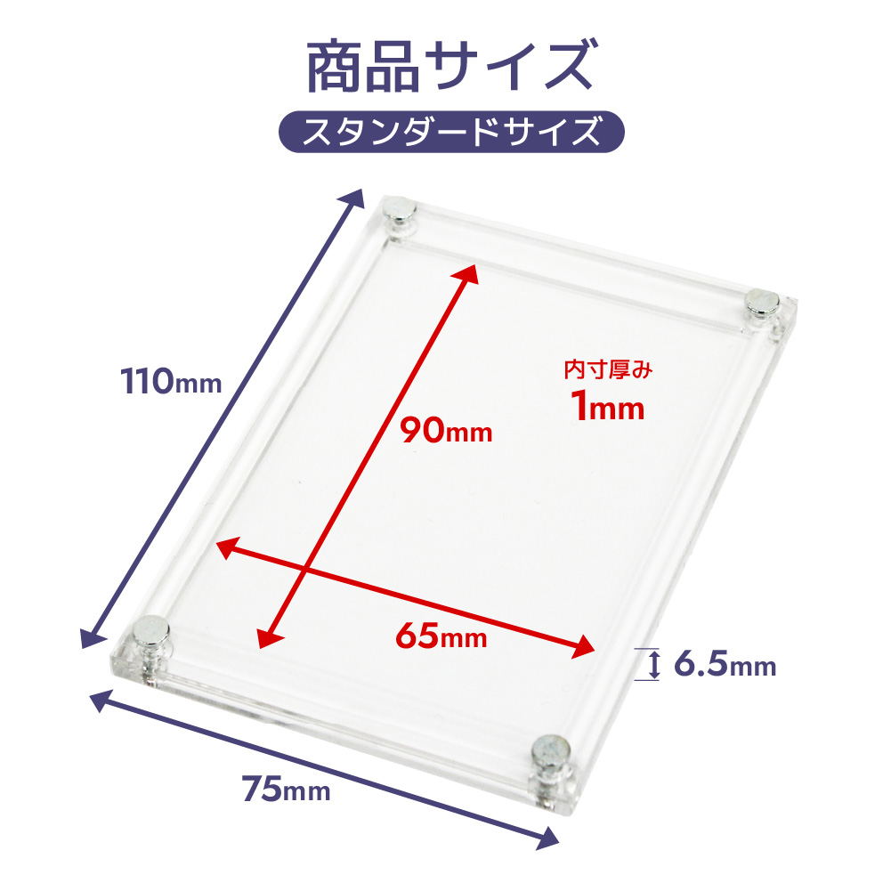 The Case PRO (Standard Size)