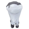Goddess Of Victory: Nikke Nesoberi Plush Snow White S thumbnail 5