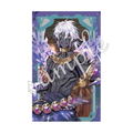 Dream Meister And The Recollected Black Fairy Shiny Card Collection Vol. 6 (Set of 12 Packs) thumbnail 24
