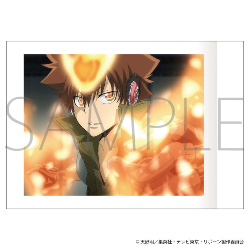 Reborn! PashaColle Vol. 5 (Set of 10 Packs) image 3