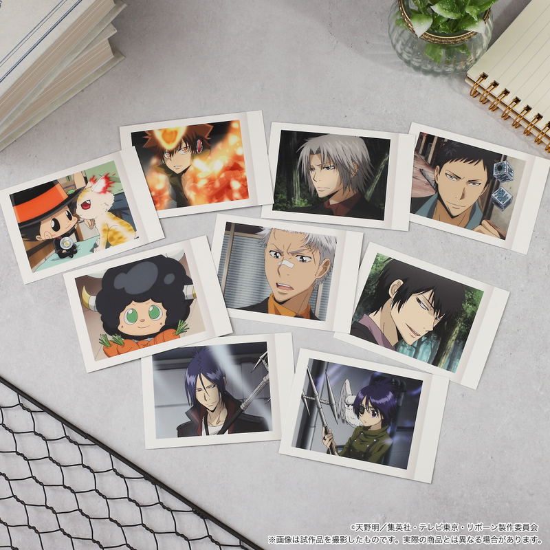 Reborn! PashaColle Vol. 5 (Set of 10 Packs) image 4