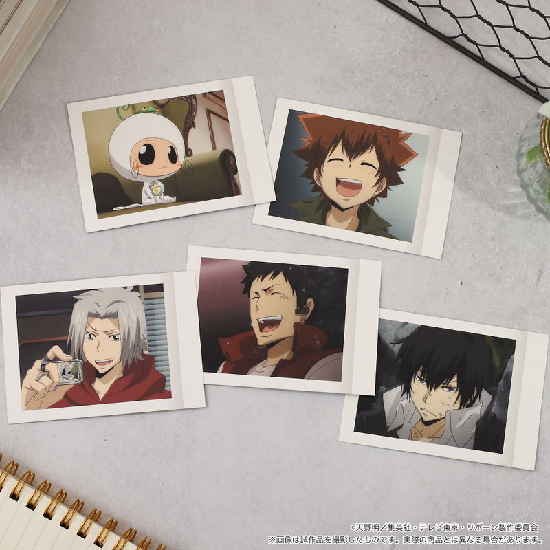 Reborn! PashaColle Vol. 5 (Set of 10 Packs) image 7