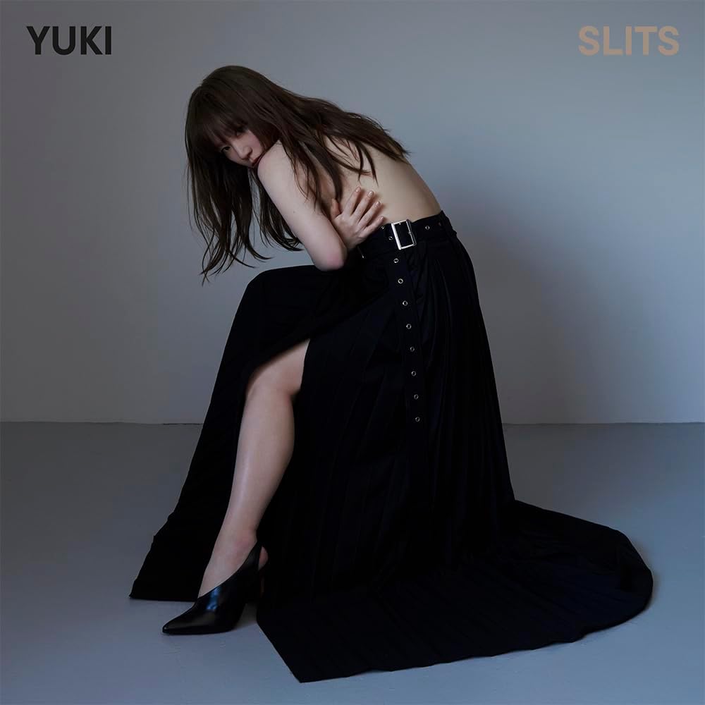 Slits [Limited Edition] — Import Game Deal