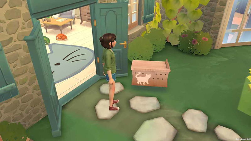 Cat Rescue Story image 3