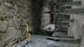 Tomb Raider I-III Remastered Starring Lara Croft [Deluxe Edition] thumbnail 7