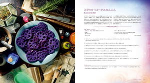 Heroes' Feast Flavors Of The Multiverse: An Official D&D Cookbook (Japanese Edition)_