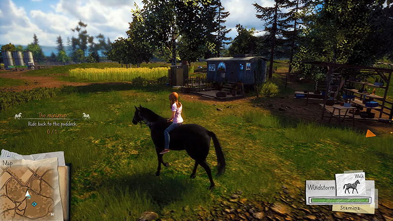 Windstorm: Start of a Great Friendship (Code in a box) image 3