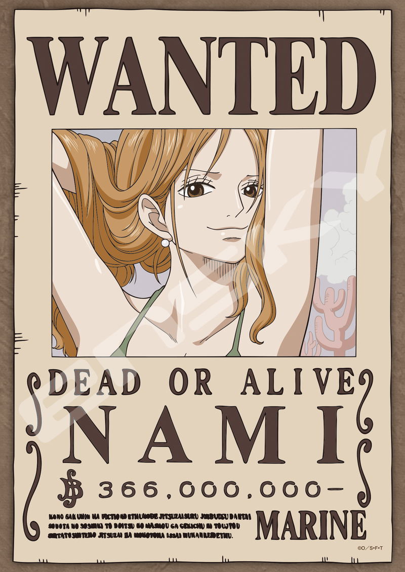 One Piece Jigsaw Puzzle 208 Piece 208-136 Navigator Cat Burglar Nami image 1