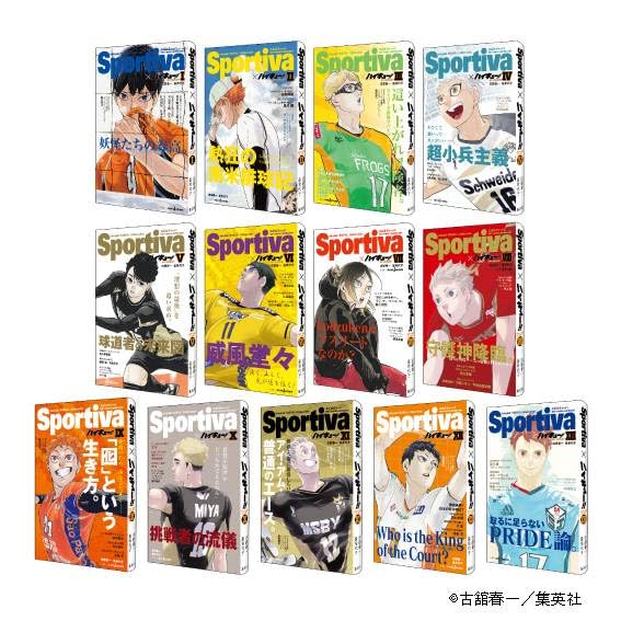 Sportiva Volleyball Japan Men's National Team Special Issue