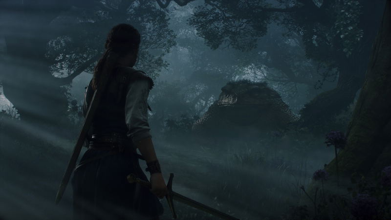 Fable <span class="ext" style="background-color: #2a475e; color: #FFFFFF;">STEAM</span> <span class="ext ext_digital">digital</span> image 8