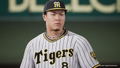 Professional Baseball Spirits 2024-2025 thumbnail 3