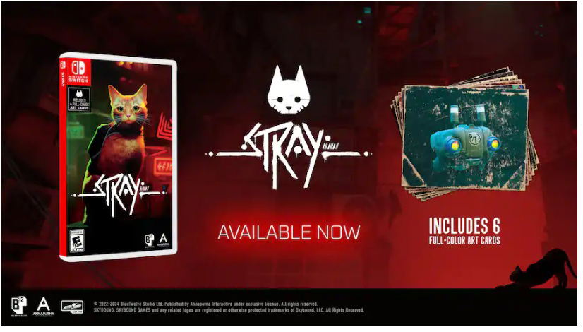 Stray for Nintendo Switch, Nintendo Switch 2