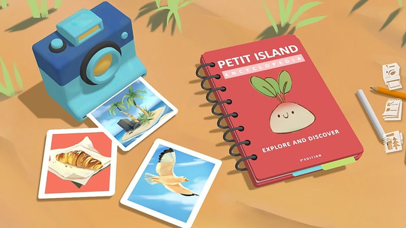 Petit Island image 4