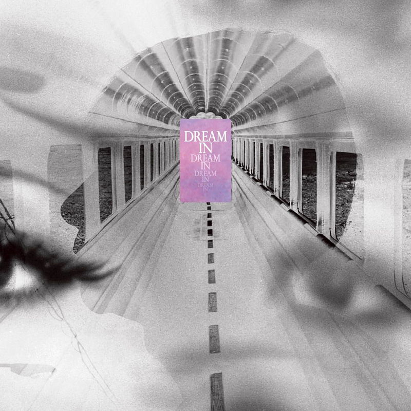 Dream In Dream [Limited Edition] (Vinyl) image 1