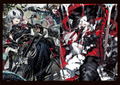 Shiba Recent Works: As Progress thumbnail 5