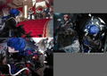 Shiba Recent Works: As Progress thumbnail 9