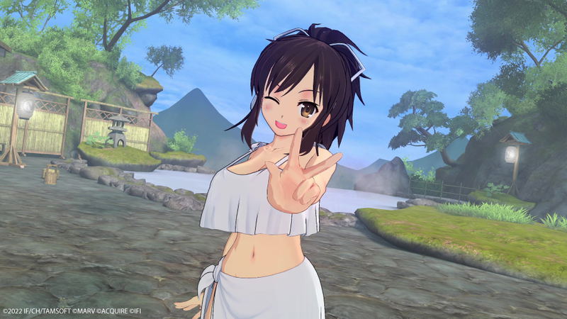Neptunia x Senran Kagura: Ninja Wars <span class="ext" style="background-color: #2a475e; color: #FFFFFF;">STEAM</span> <span class="ext ext_digital">digital</span> image 14