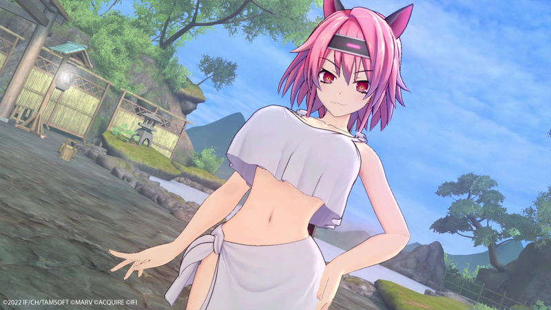Neptunia x Senran Kagura: Ninja Wars <span class="ext" style="background-color: #2a475e; color: #FFFFFF;">STEAM</span> <span class="ext ext_digital">digital</span> image 17