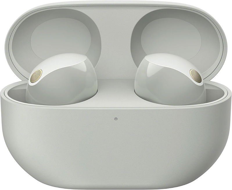 Sony WF-1000XM5 Wireless Noise Cancelling Headphones (Silver) image 1