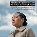 Sony WF-1000XM5 Wireless Noise Cancelling Headphones (Silver) thumbnail 5