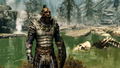 The Elder Scrolls V: Skyrim thumbnail 9