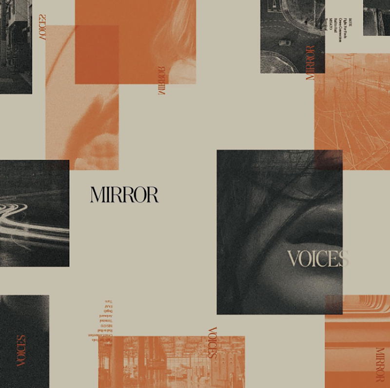 Voices [Limited Edition] (Vinyl) image 1