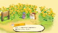 Hakoniwa Kaitaku Hamster to Taiyou no Sato [Sato no Omiyage Set] (Limited Edition) thumbnail 2