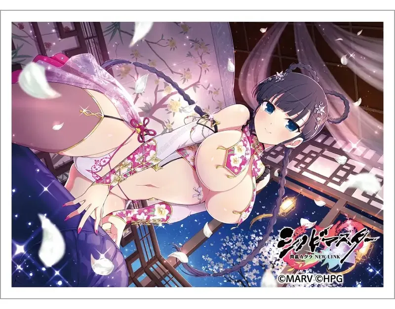 Shinovi Master Senran Kagura: New Link Sleeve Ikaruga / Pai no Hi Mori Densetsu Sonyusai image 1