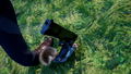 Squirrel with a Gun <span class="ext" style="background-color: #2a475e; color: #FFFFFF;">STEAM</span> <span class="ext ext_digital">digital</span> thumbnail 23