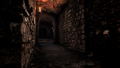 Lunacy: Saint Rhodes <span class="ext" style="background-color: #2a475e; color: #FFFFFF;">STEAM</span> <span class="ext ext_digital">digital</span> thumbnail 16